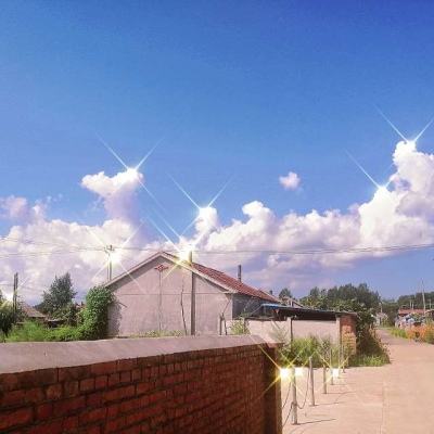 口袋妖怪go日服客户端下载